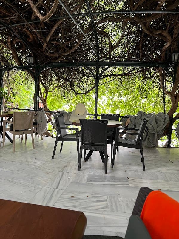 Kameriye Kafe Çay Bahçesi - Kadıköy