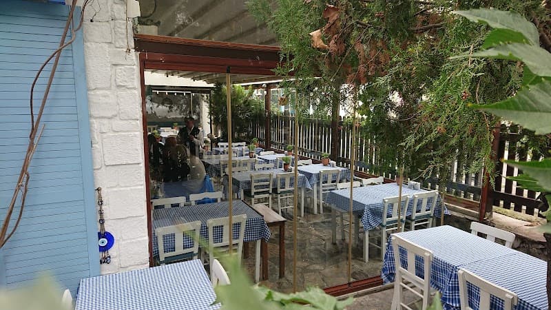 MÜZEYYEN KOŞUYOLU RESTAURANT - Kadıköy